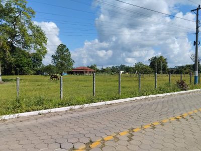 Terreno, 1 hectares - Foto 4