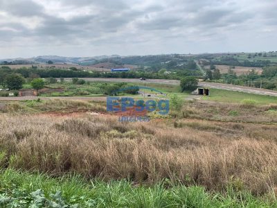Terreno, 3 hectares - Foto 1