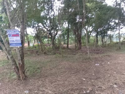 Terreno, 2500 m² - Foto 2