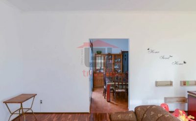 Casa, 4 quartos, 250 m² - Foto 4