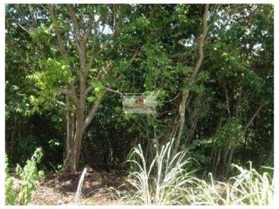 Fazenda, 1 hectares - Foto 1