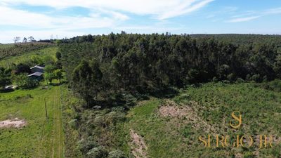 Loteamento e Condomínio, 5 hectares - Foto 2
