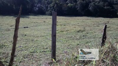 Terreno, 2 hectares - Foto 2