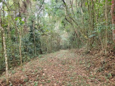 Terreno, 6 hectares - Foto 4
