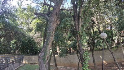 Apartamento, 2 quartos, 49 m² - Foto 5