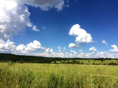 Terreno, 3310 m² - Foto 5