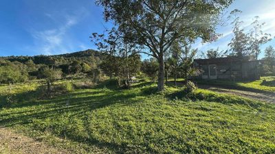 Terreno, 7 hectares - Foto 2