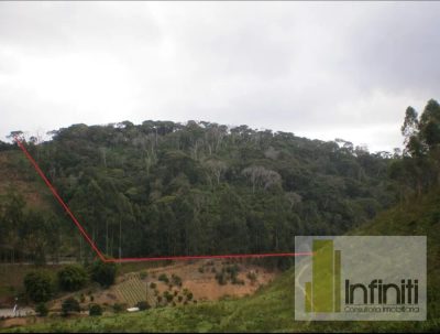 Terreno, 8 hectares - Foto 2
