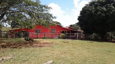 Fazenda, 8 hectares - Foto 1