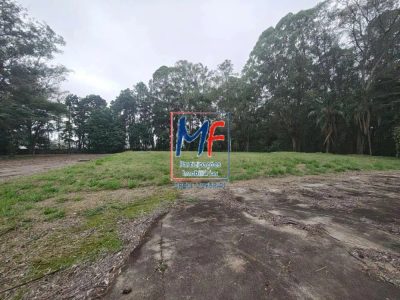 Depósito-Galpão, 3400 m² - Foto 3