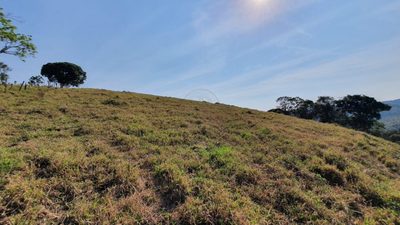 Terreno, 24 hectares - Foto 4