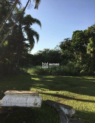Casa, 4 quartos, 286 m² - Foto 3