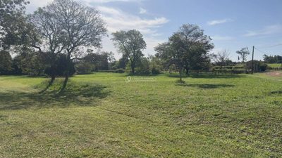 Terreno - Foto 3
