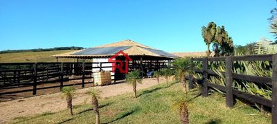 Fazenda, 4 quartos - Foto 5
