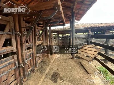 Casa, 2405 m² - Foto 4