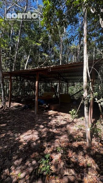 Casa, 7811 m² - Foto 4
