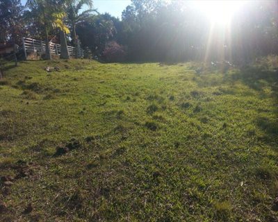 Chácara, 4 quartos, 3 hectares - Foto 5