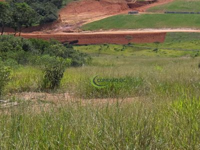 Terreno, 2138 hectares - Foto 4