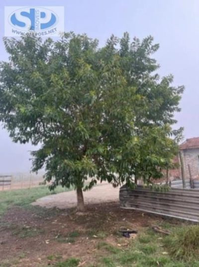 Loteamento e Condomínio, 308 hectares - Foto 2