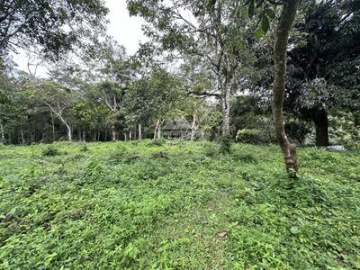 Terreno, 6059 m² - Foto 3