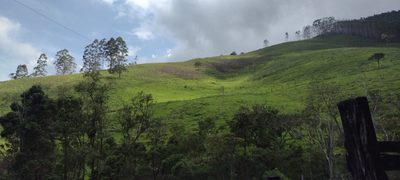 Chácara, 1 quarto, 100 m² - Foto 1