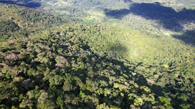 Fazenda, 52 hectares - Foto 4