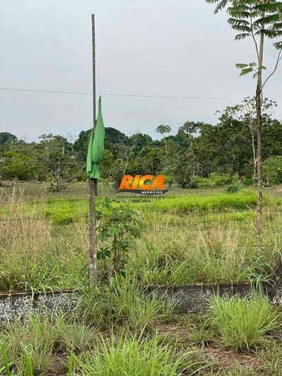 Terreno, 2 hectares - Foto 4