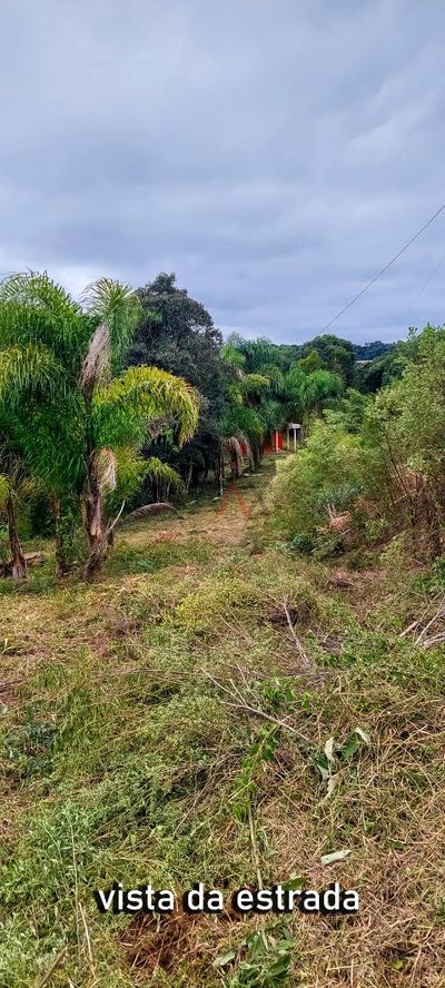 Chácara, 2 quartos - Foto 4