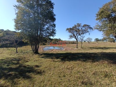 Sítio, 3 quartos, 7 hectares - Foto 2