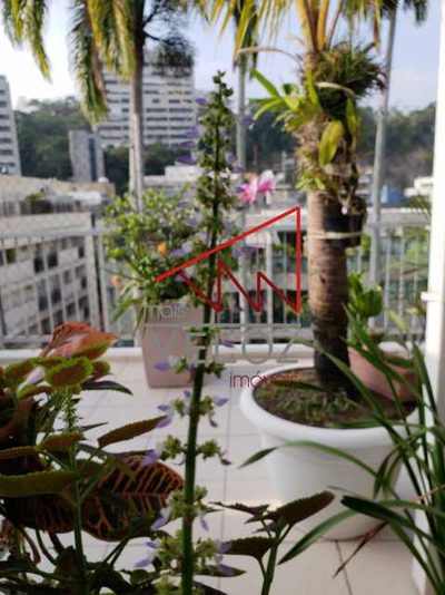 Cobertura, 4 quartos, 380 m² - Foto 3