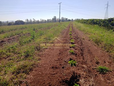 Fazenda - Foto 4