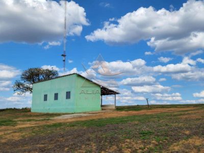 Fazenda, 1017 hectares - Foto 4