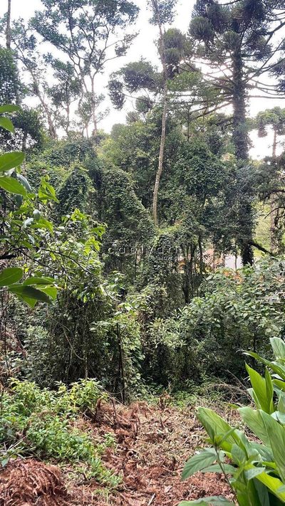Terreno, 1025 m² - Foto 5