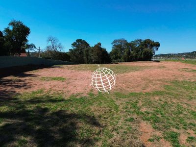Terreno, 10000 m² - Foto 1