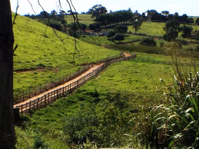 Chácara, 5 quartos, 4 hectares - Foto 1