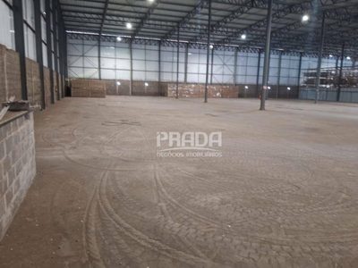 Depósito-Galpão, 2600 m² - Foto 4