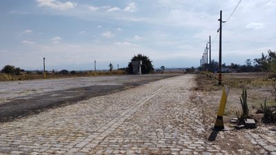 Terreno, 16 hectares - Foto 4