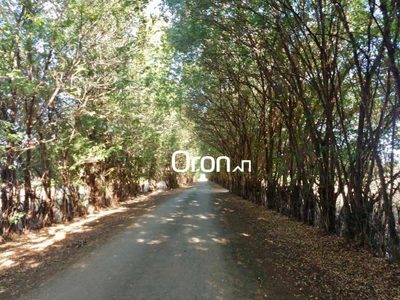 Terreno, 350 hectares - Foto 3