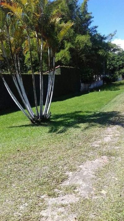 Fazenda, 7000 m² - Foto 3
