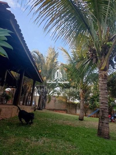 Chácara, 3 quartos, 960 m² - Foto 3