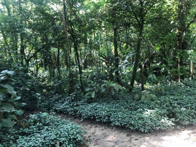 Terreno, 3000 m² - Foto 1