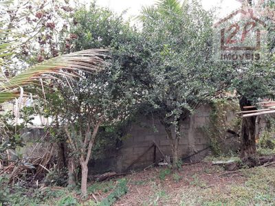 Chácara, 2 quartos, 1300 m² - Foto 4