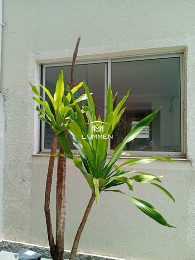 Apartamento, 2 quartos, 43 m² - Foto 4