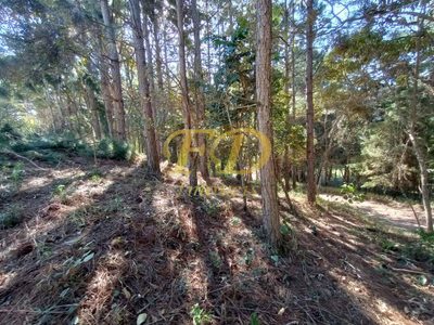 Terreno, 2410 m² - Foto 1