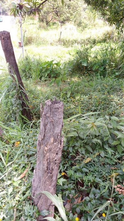 Terreno, 360 m² - Foto 2