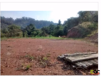 Terreno, 5000 m² - Foto 1