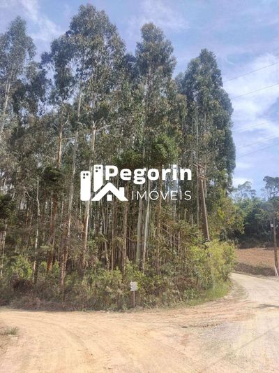 Chácara, 3 quartos - Foto 2