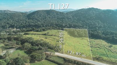 Terreno, 98916 m² - Foto 4