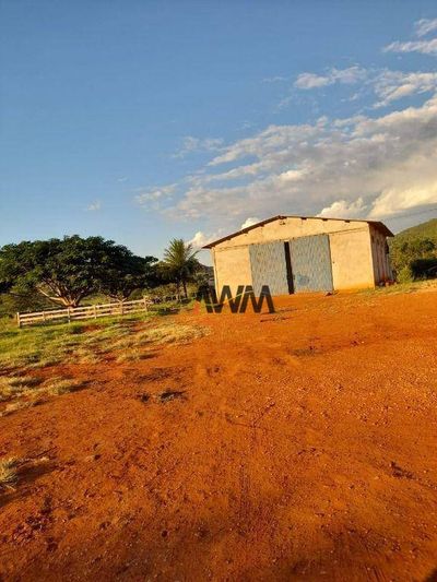 Fazenda, 1210 hectares - Foto 4