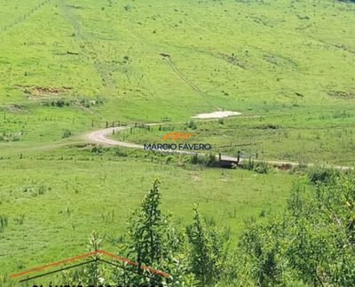 Fazenda, 1258 hectares - Foto 3